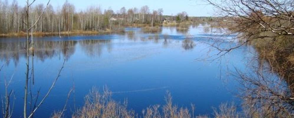 
            Фотография Тупицыно