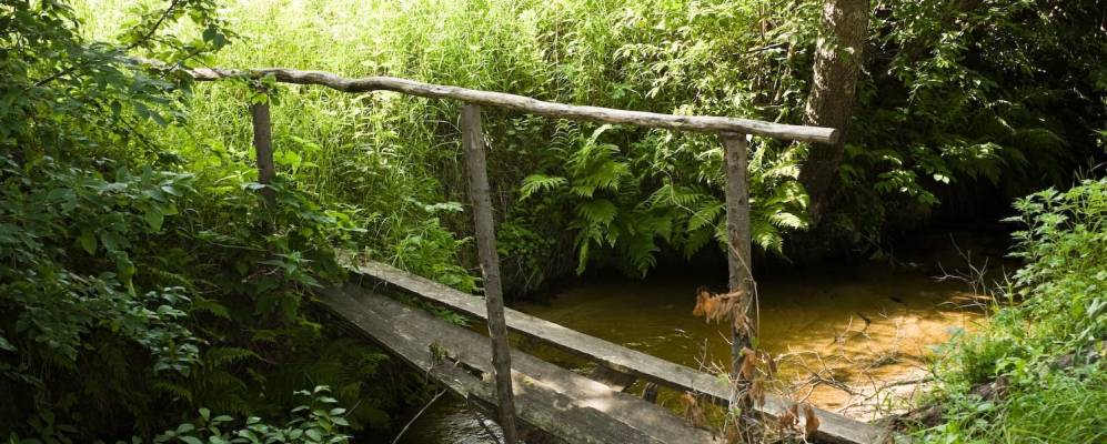 
            Фотография Мокрушино