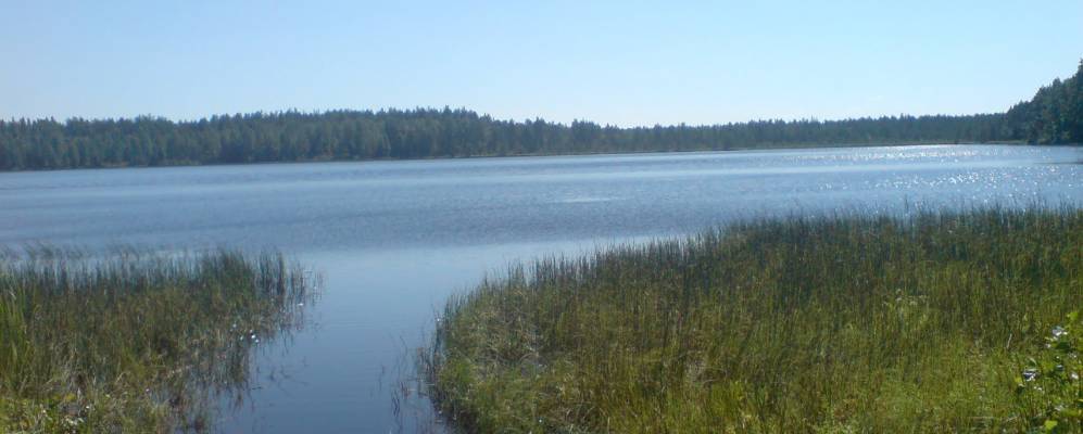 
            Фотография Шкардов