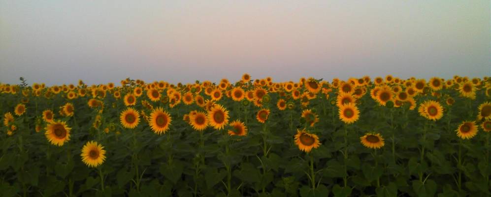 
            Фотография Куликовки