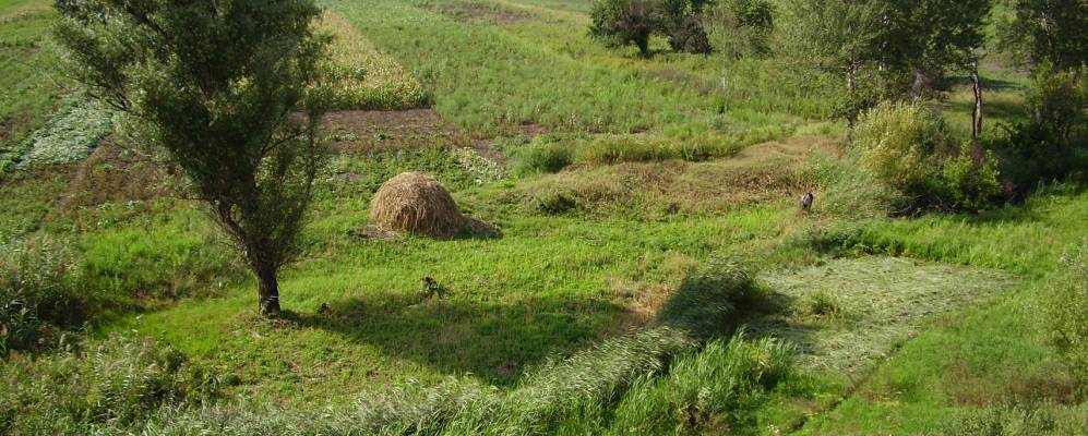 
            Фотография Дарьина-Ермаковки