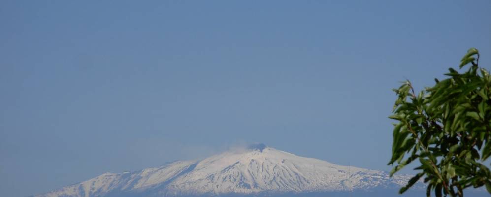 
            Фотография Пелларо