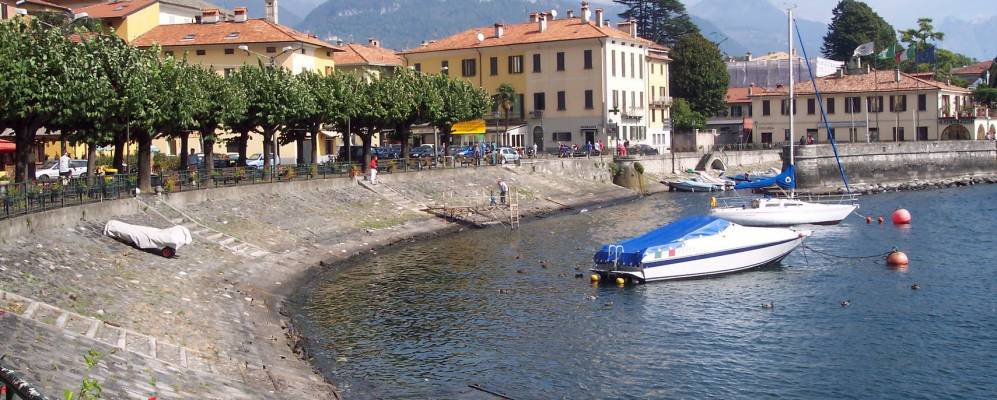 
            Фотография Донго