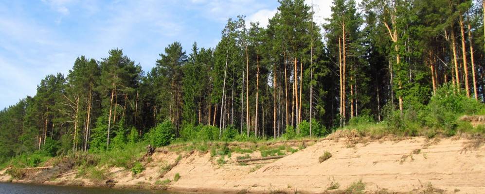 
            Фотография Конца