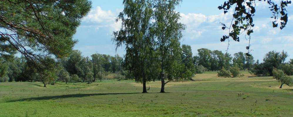 
            Фотография Ревды