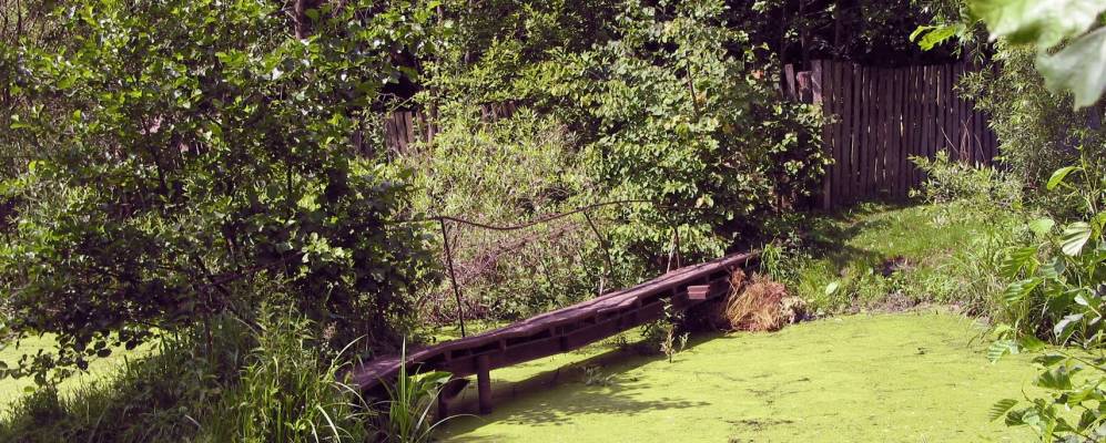 
            Фотография Михайлово