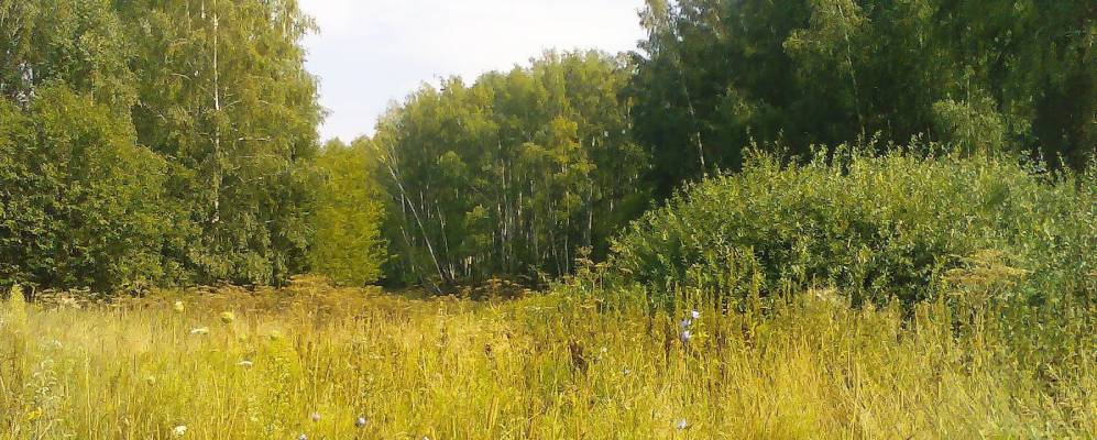 Фотография Подиково