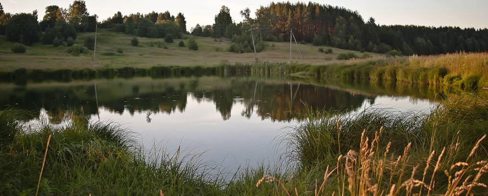 Фотография Колобихи