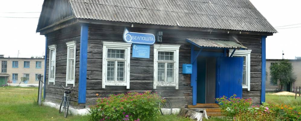 Фотография Писаревичей