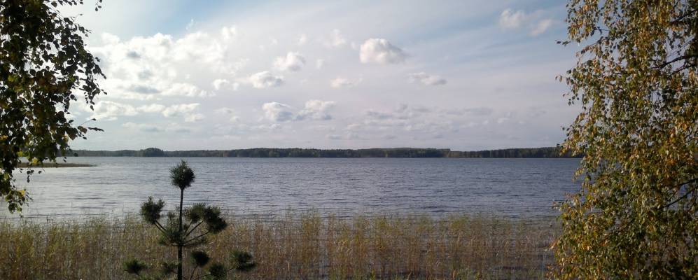 
            Фотография Малилы