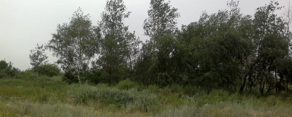 
            Фотография Кояндов