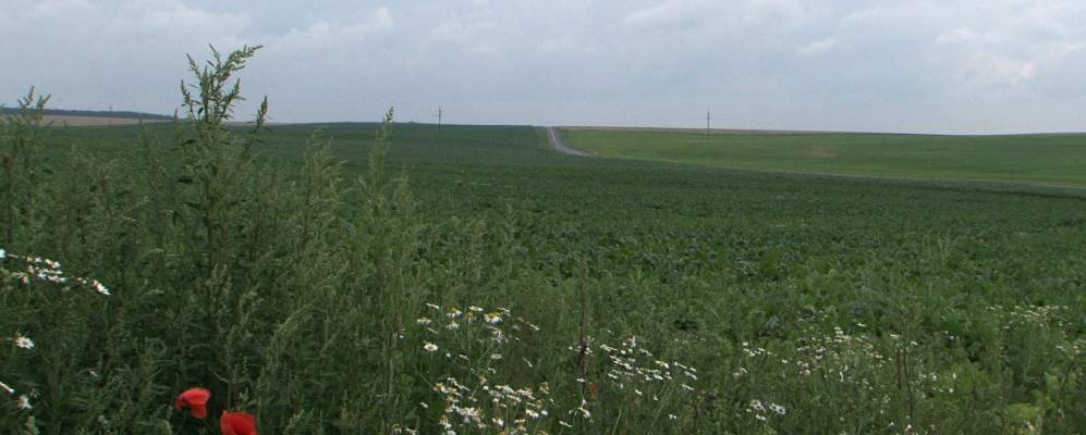 Фотография деревни Новики