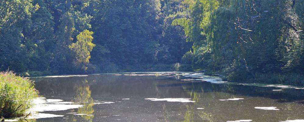 
            Фотография Трофимово