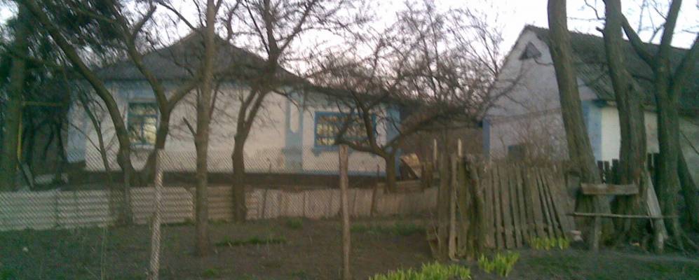 Фотография Шубины Ставы