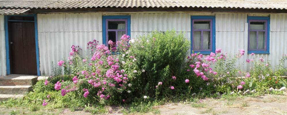 
            Фотография Куликовки