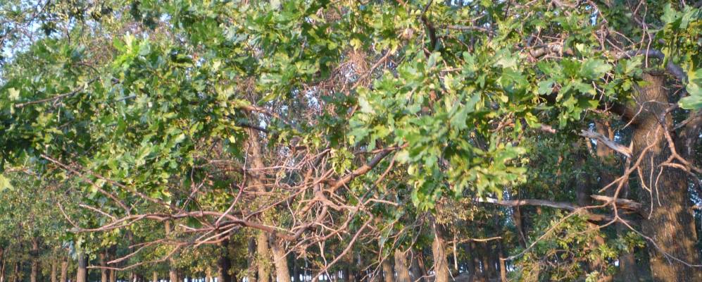 
            Фотография Алексеевки