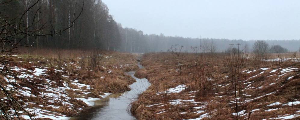 Фотография Куцого Леса