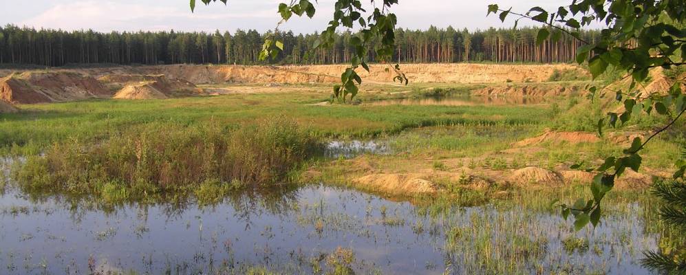 
            Фотография Данилово