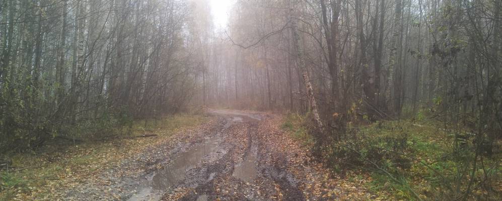 
            Фотография Рубцовщины