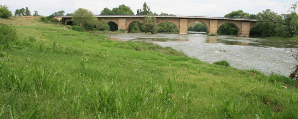 
            Фотография Ларрагы