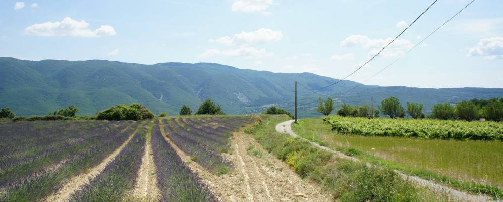 
            Фотография Saint-Martin-de-Castillon