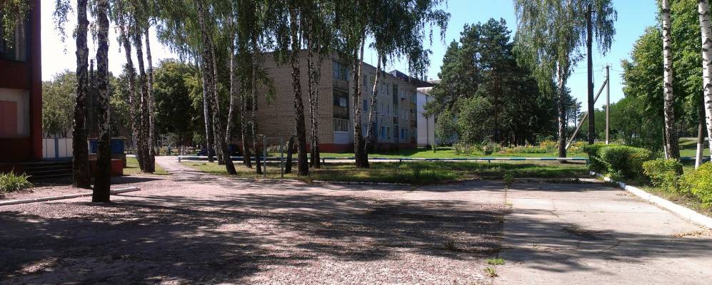 
            Фотография Соснового