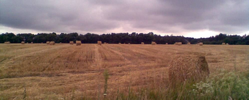 
            Фотография Пручаи