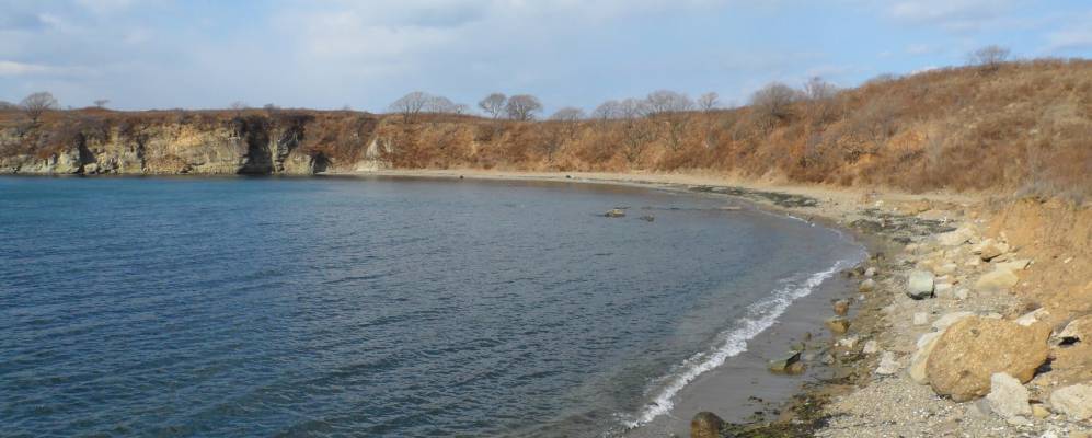 
            Фотография Чайкино