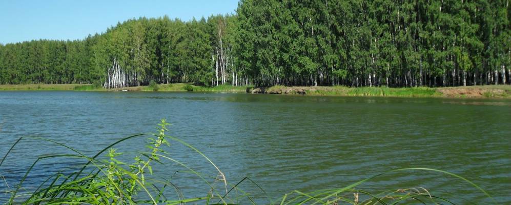 
            Фотография Красного Востока