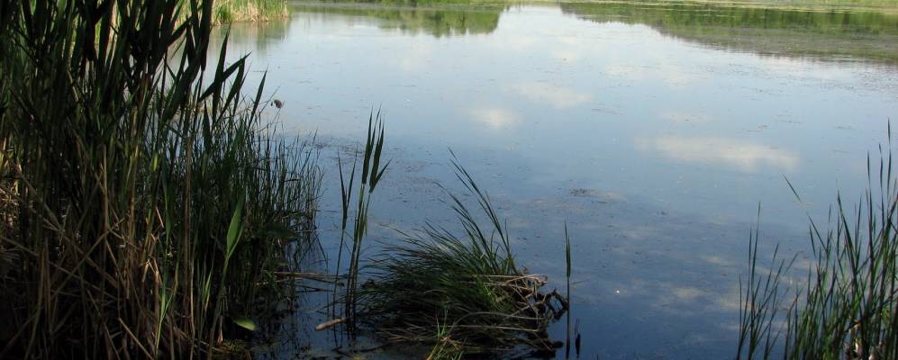 
            Фотография Мурзинцы