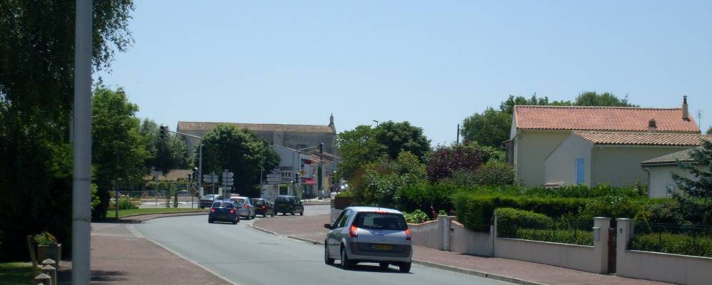 
            Фотография Меди