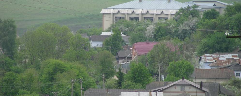 
            Фотография Конюхи