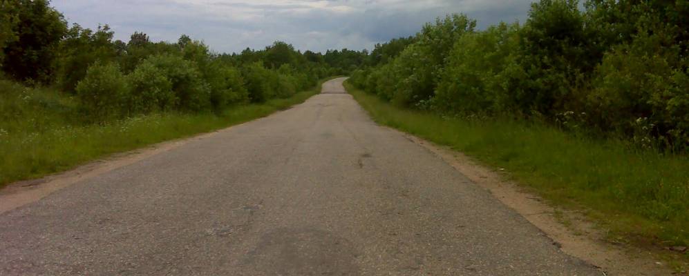 Фотография Сирочья