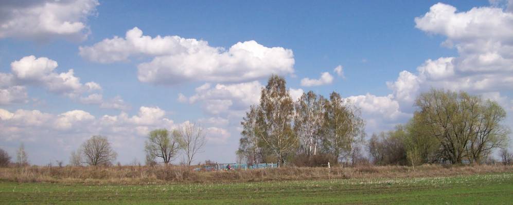 Фотография Малиновки