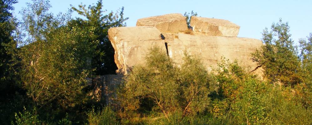 
            Фотография Аркадии
