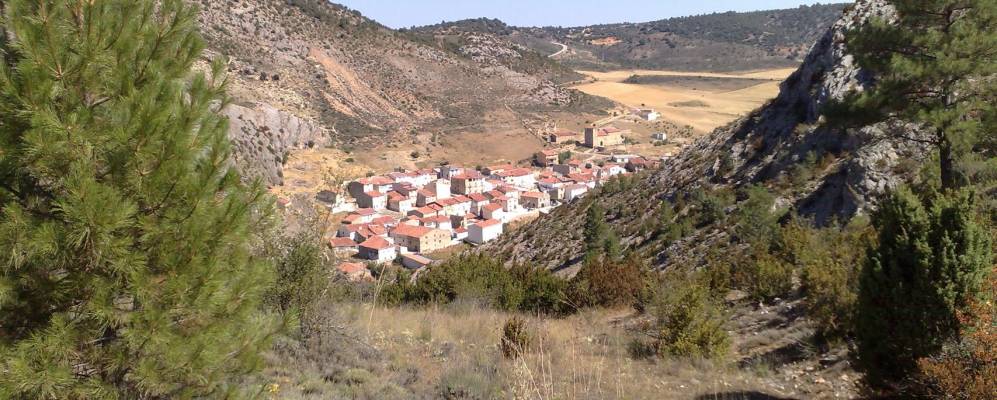 
            Фотография Мехина