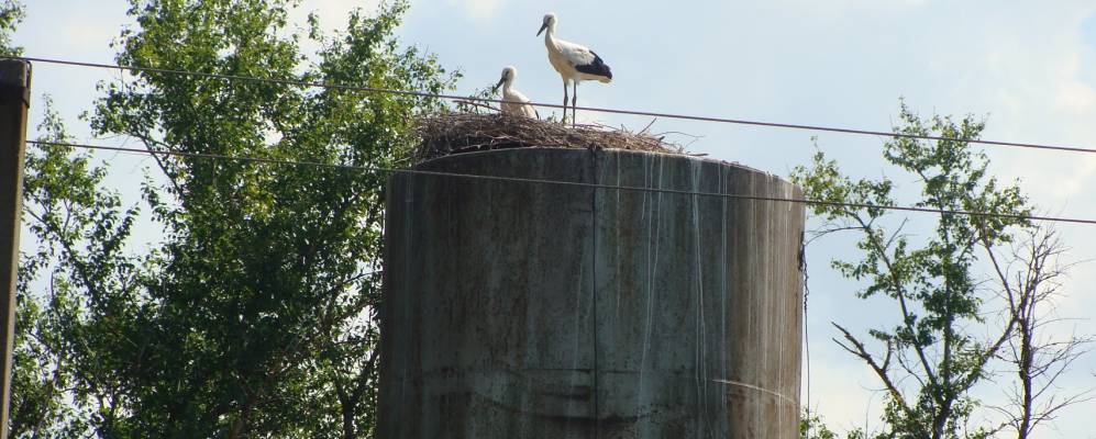 
            Фотография Залозья