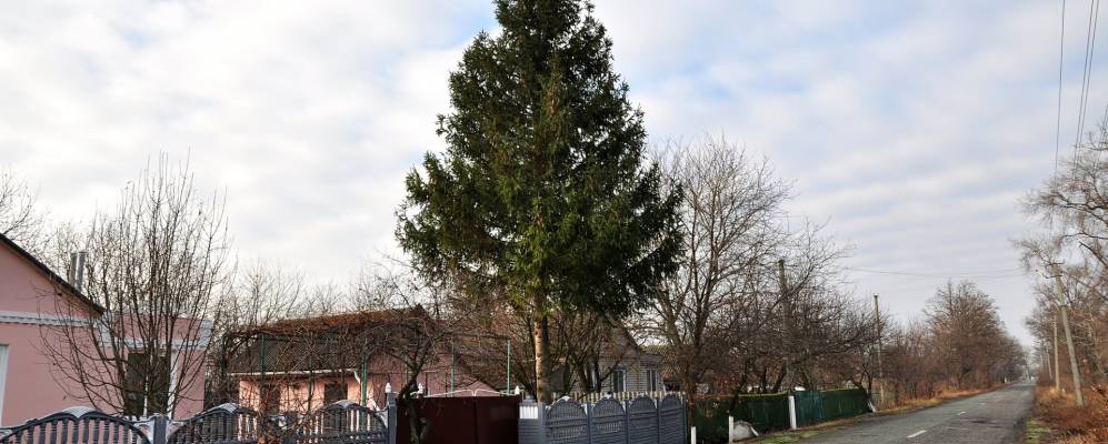 
            Фотография Дмитровки