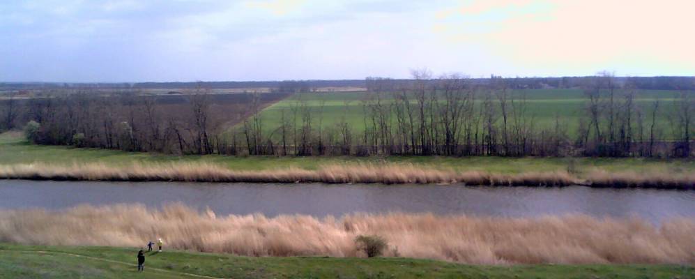 
            Фотография Новотроицкого