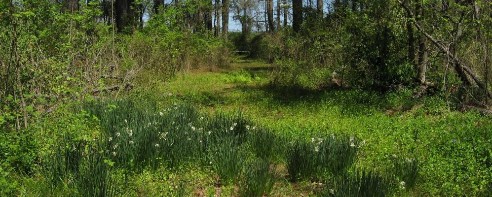 
            Фотография Брайсез Крика