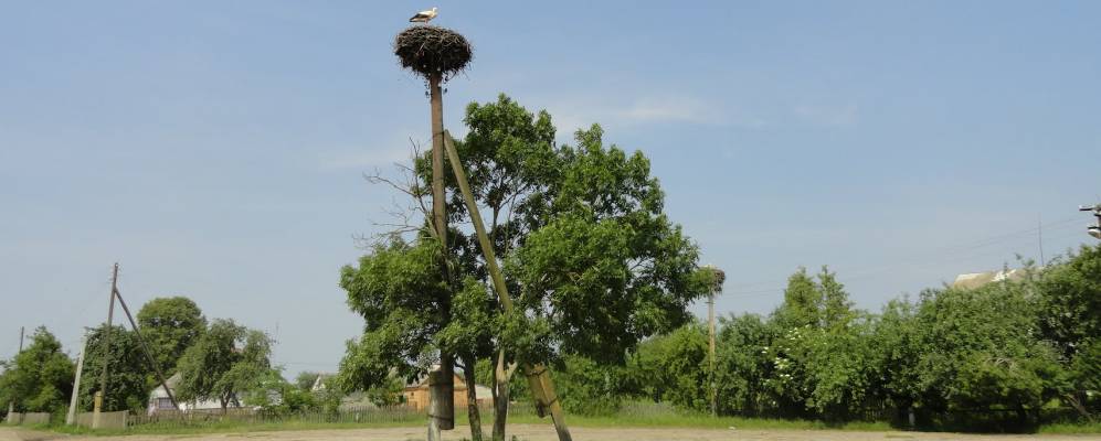 
            Фотография Майдана