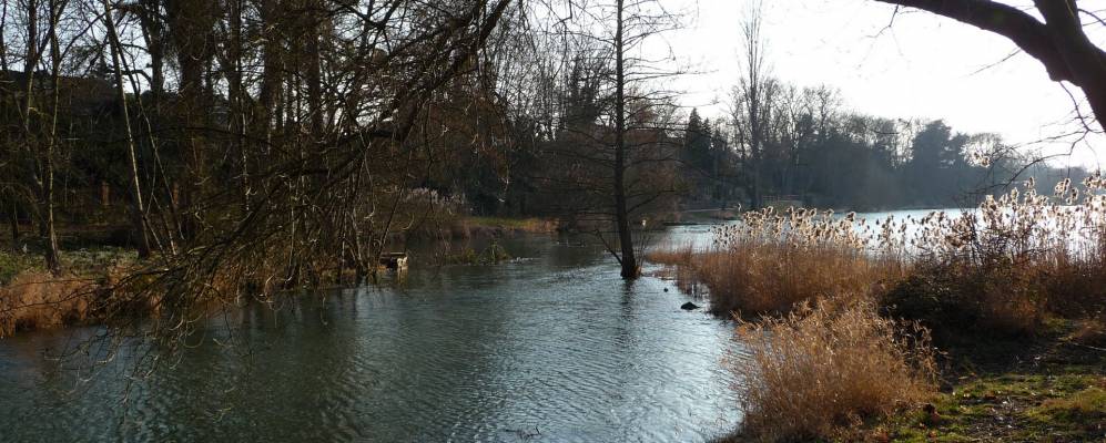 
            Фотография Сент-Илер-Сент-Месмена
