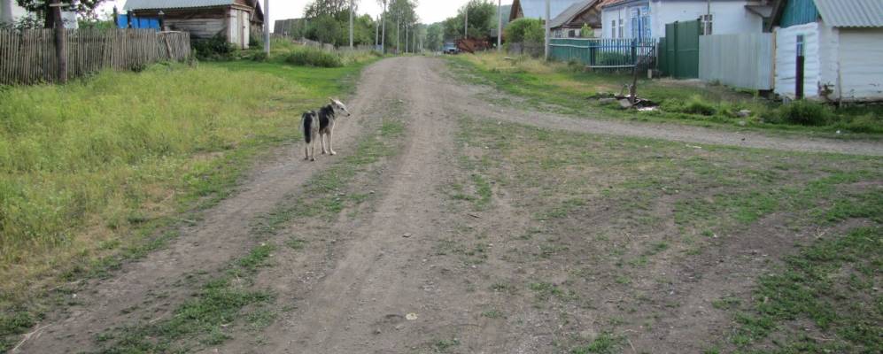
            Фотография Степановки