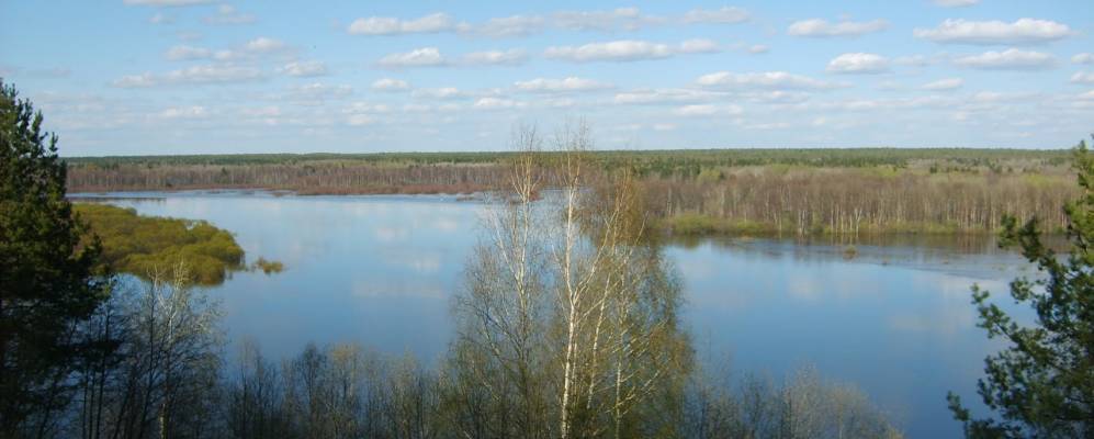 
            Фотография Дмитриевского