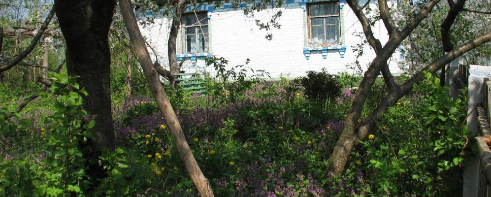 
            Фотография Йосипенки