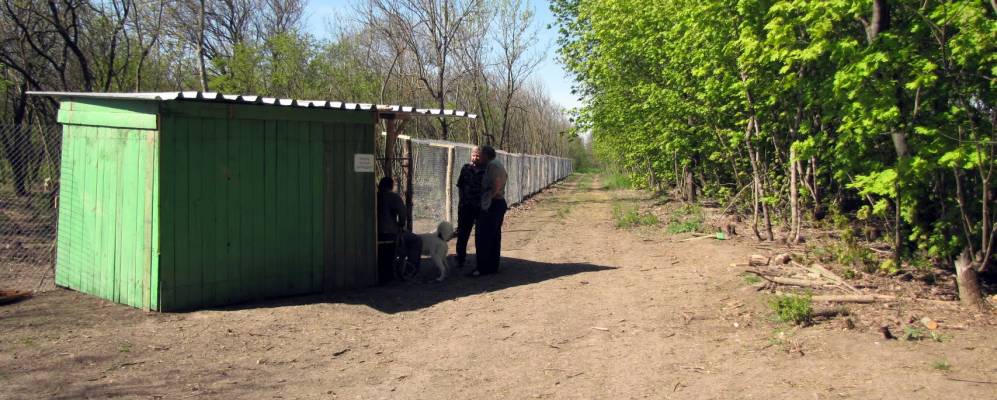 
            Фотография Григорьевки