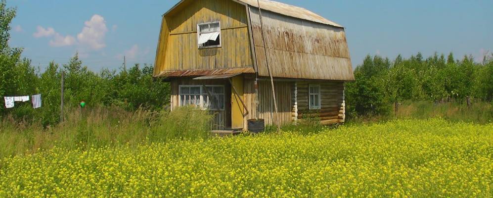 
            Фотография Тумера