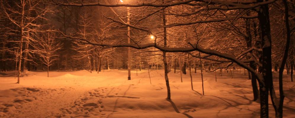 
            Фотография Кузгороди