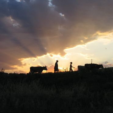 Верхняя Добринка