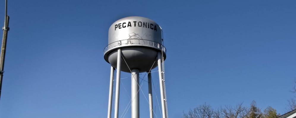 
            Фотография Пекатоникы